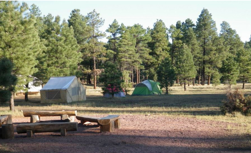 Image of Camp Colley grounds